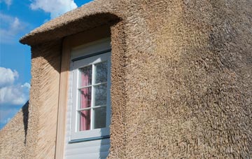 Ffynnon thatch roof disadvantages